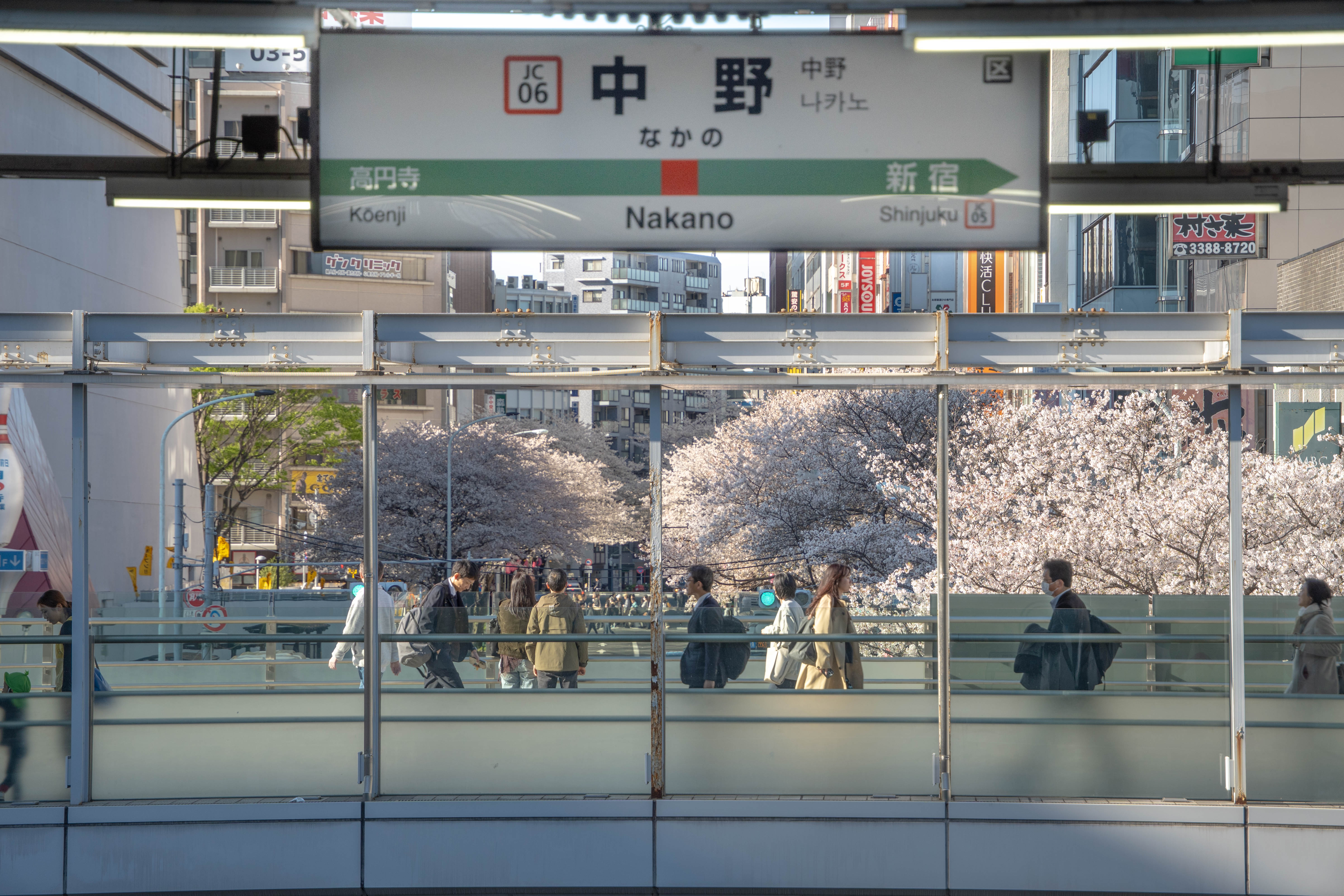 4.3 久违的晴天和樱花